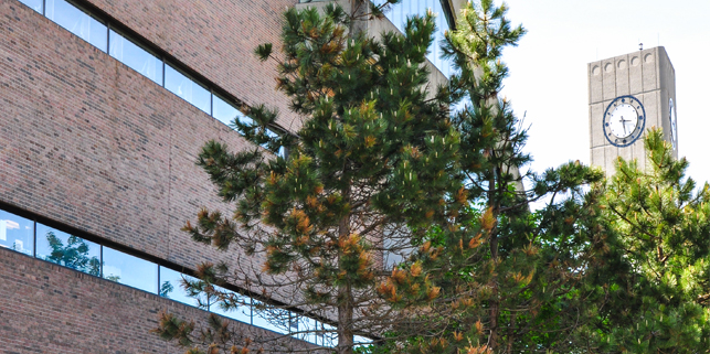 Queen Elizabeth II Library (L) - MUN Buildings