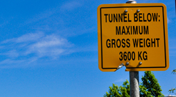 MUNel System About MUNel System